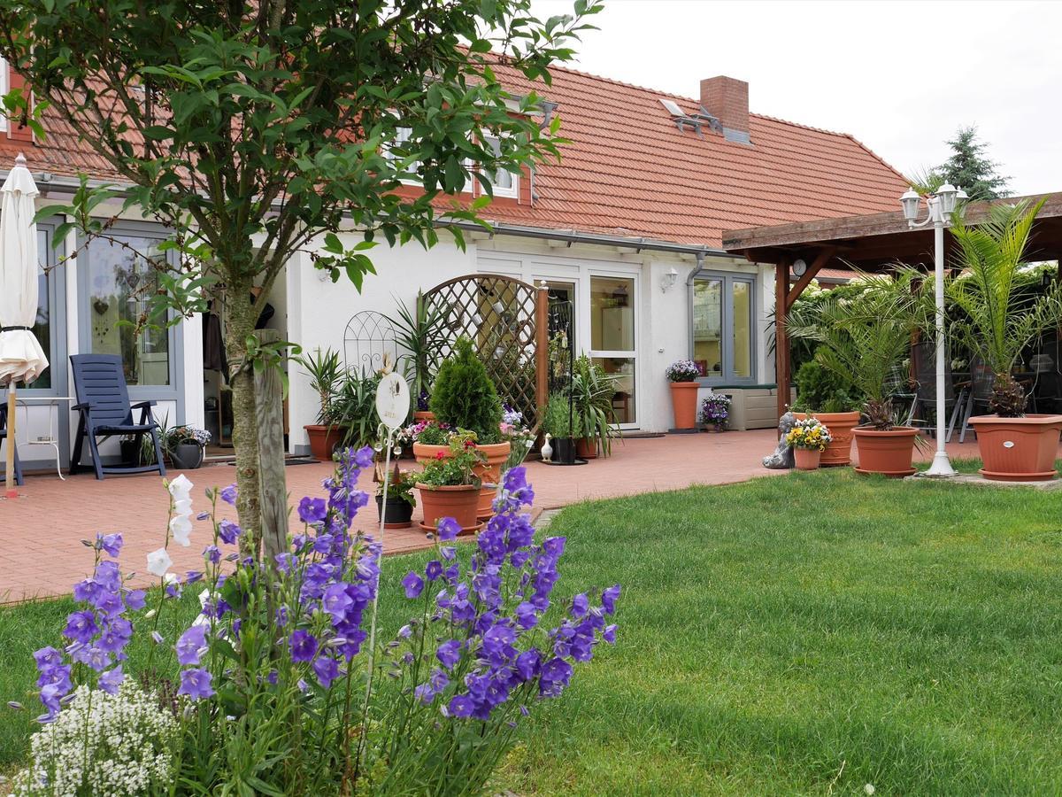 Pretty Apartment In Am Salzhaff With Fireplace Rakow ภายนอก รูปภาพ